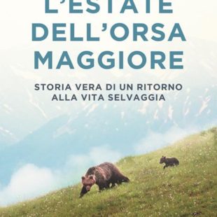 L’estate dell’orsa maggiore